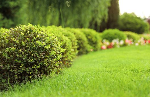 Gartenpfleger